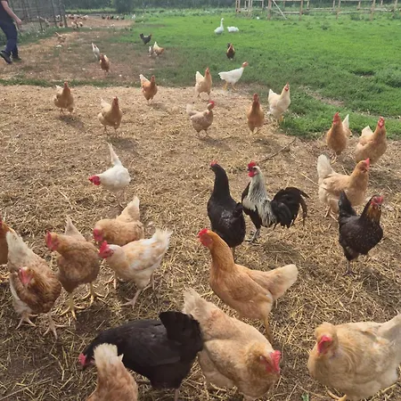 Cascina Tesoriera Alojamento de Acomodação e Pequeno-almoço Santhià